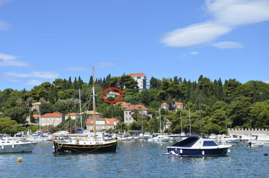 Peaceful House In Dubrovnikアパートメント エクステリア 写真