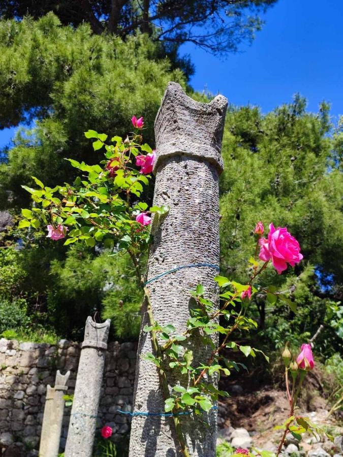 Peaceful House In Dubrovnikアパートメント エクステリア 写真