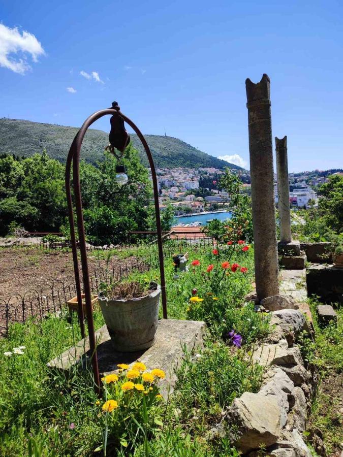Peaceful House In Dubrovnikアパートメント エクステリア 写真